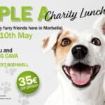 30th Anniversary of local animal shelter Triple A